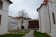 Mănăstirea Comana 13