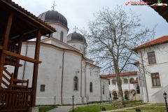Mănăstirea Comana 34