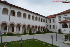 Mănăstirea Comana 40