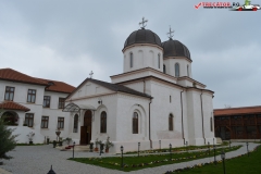 Mănăstirea Comana 41