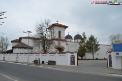 Mănăstirea Comana 43