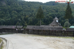 Mănăstirea Comanca 06