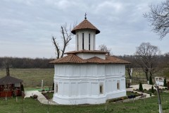 Mănăstirea Coșoteni 12