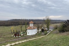 Mănăstirea Coșoteni 53