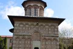 Manastirea Cosuna 14