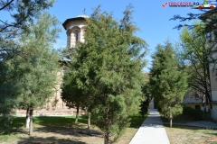 Manastirea Cosuna 33
