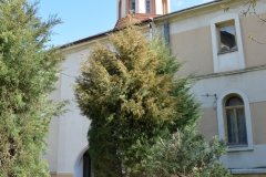 Manastirea Cosuna 36