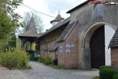 Mănăstirea Cotmeana 09