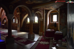 Mănăstirea Cotmeana 18