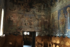 Mănăstirea Cotmeana 19