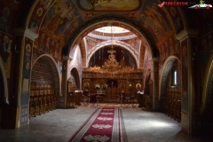 Mănăstirea Cotmeana 21