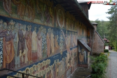 Mănăstirea Cotmeana 25