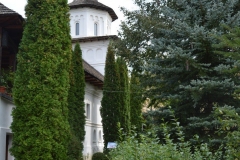 Mănăstirea Cotmeana 28