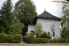 Mănăstirea Cotmeana 36