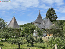 Mănăstirea Cozancea 35