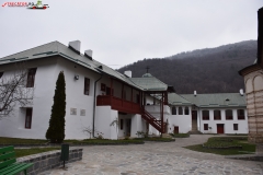 Manastirea Cozia 11