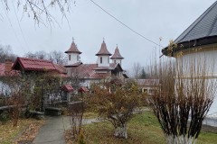 Mănăstirea Crasna 70