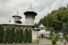 Mănăstirea Crișan 06