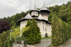 Mănăstirea Crișan 48