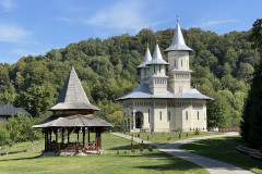 Mănăstirea Dealu Mare 30