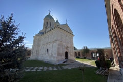 Mănăstirea Dealu 16