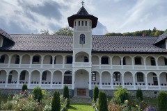 Mănăstirea Dejani 31