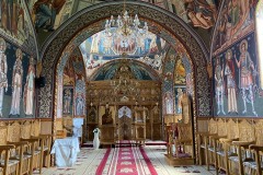 Mănăstirea Dejani 37