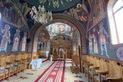 Mănăstirea Dejani 41