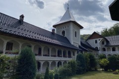 Mănăstirea Dejani 62