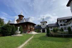 Mănăstirea Dejani 65