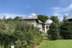 Mănăstirea Dejani 66