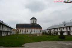 Mănăstirea Delta Neajlovului 23