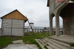 Mănăstirea Delta Neajlovului 26