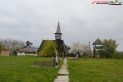 Mănăstirea Delta Neajlovului 36