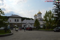 Mănăstirea Dintr-un Lemn 12
