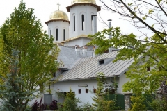 Mănăstirea Dintr-un Lemn 18