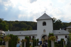 Mănăstirea Dintr-un Lemn 21