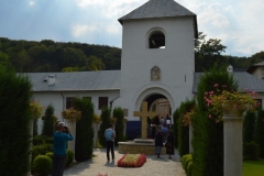 Mănăstirea Dintr-un Lemn 25