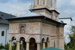 Mănăstirea Dintr-un Lemn 44