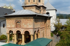 Mănăstirea Dintr-un Lemn 61
