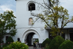Mănăstirea Dintr-un Lemn 62