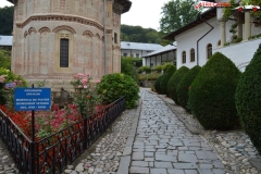 Mănăstirea Dintr-un Lemn 65