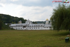 Mănăstirea Dintr-un Lemn 77