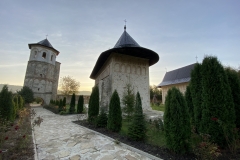 Mănăstirea Dobrovăț 10