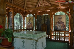 Manastirea Draganesti-Vlasca 19