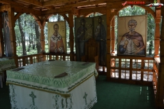 Manastirea Draganesti-Vlasca 21
