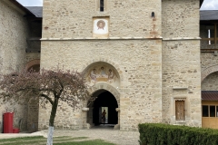 Mănăstirea Dragomirna 51