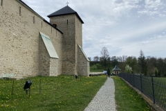 Mănăstirea Dragomirna 62