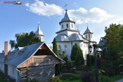 Mănăstirea Dumbrava 07