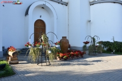 Mănăstirea Dumbrava 08